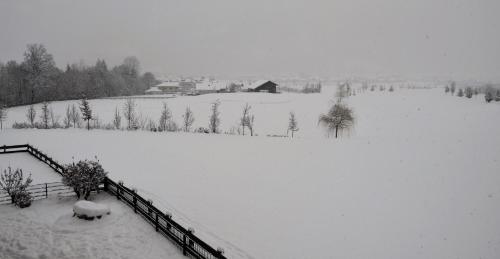 a snow covered field with a house in the background at Green Apart in Uderns