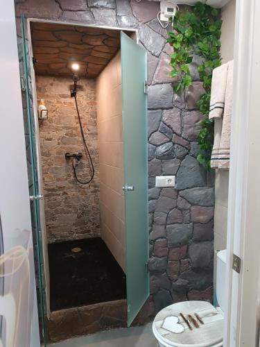 a bathroom with a shower with a toilet in it at Apartamento La Cueva silencioso in Algarrobo