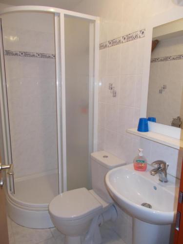 a bathroom with a shower and a toilet and a sink at Hostinec u Janatů s ubytováním in Čestín