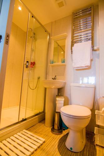 a bathroom with a toilet and a shower and a sink at Farneholm Annex Cottage in Beadnell