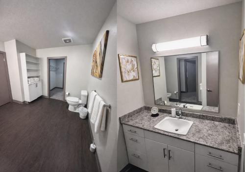 a bathroom with a sink and a toilet and a mirror at Golden Fern Escape in Des Moines