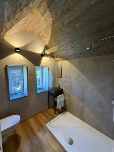 een badkamer met een toilet en een wastafel in een kamer bij Saintbarth in Houyet