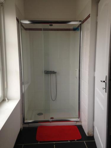 un bagno con box doccia e tappeto rosso di Maison Coeur Nature pres du zoo beauval a Châtillon-sur-Cher