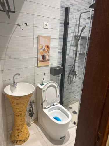 a bathroom with a toilet and a sink at Résidence MBK in Ziguinchor