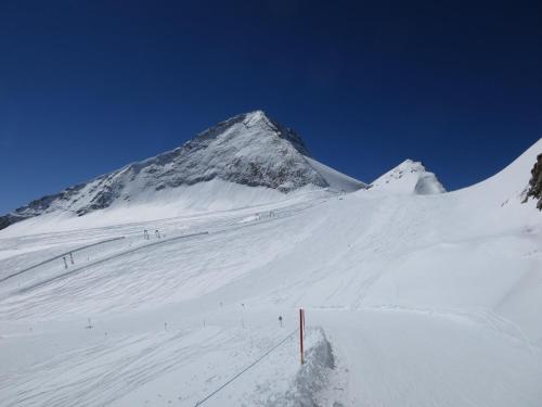Alps Tux v zimě