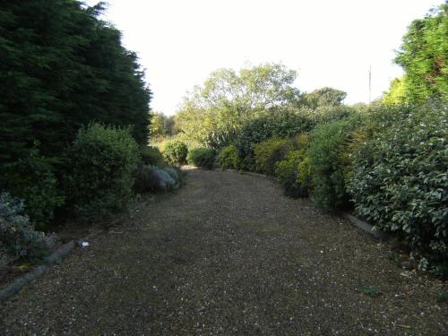 a path through a garden with bushes and trees at WatersEdge in Mulranny