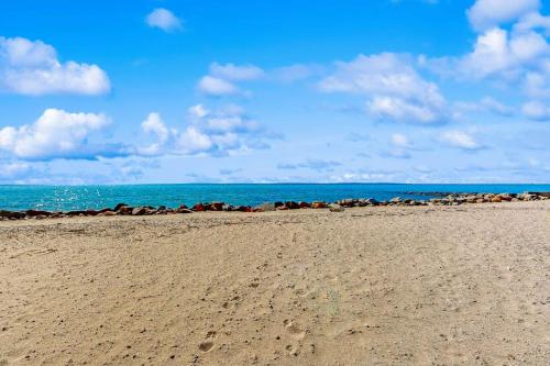a group of animals walking on the beach at Seabreeze Escape in Falmouth