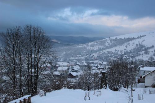 Gallery image of U Dvori in Podgorodtsy