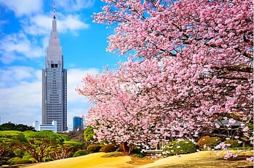 祥荣 305 - 新宿 1 駅 - JR線 新大久保駅 5 Min - 韓國街