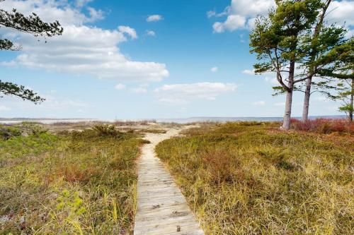a path through a field with trees and a blue sky at South Beach 43 in Glen Arbor