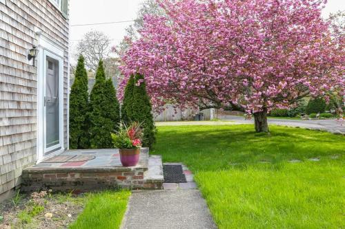 a flowering tree in a yard with a house at Island Sanctuary in Oak Bluffs