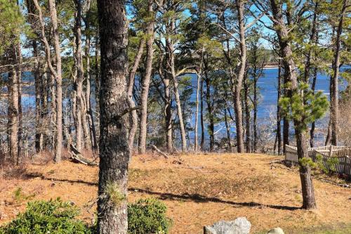 a forest of trees with a lake in the background at Blackfish Bungalow in Wellfleet