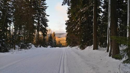 a snow covered road in a forest with trees at Horská Chata Hříbek in Benecko