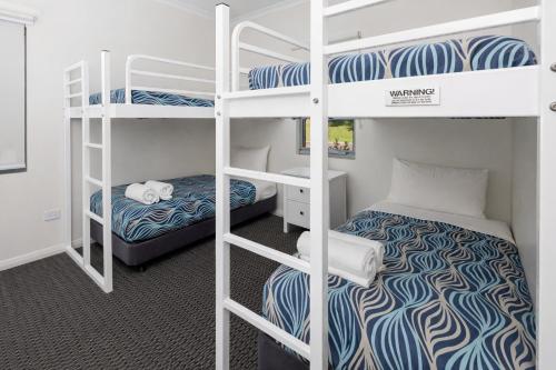 a dorm room with two bunk beds and a bed at BIG4 Emu Beach Holiday Park in Albany