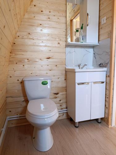 a bathroom with a toilet and a sink at Arzu Guesthouse in Ak-Say