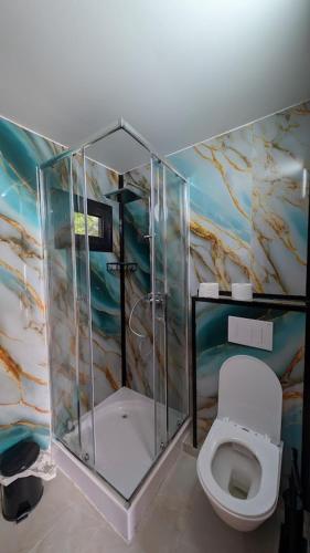 a bathroom with a shower and a toilet at Park Blini Shala River in Mollʼ e Shoshit