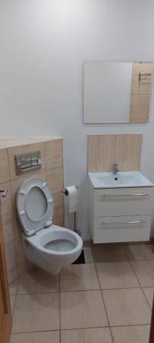 a bathroom with a white toilet and a sink at Wleń Rynek in Wleń