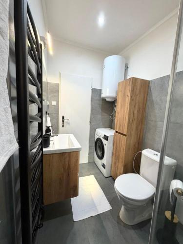 a bathroom with a toilet and a sink and a microwave at Chata VeloVino in Moča