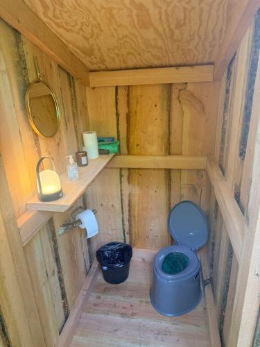 a small bathroom with a toilet and a mirror at Idylisk primitiv hytte midt i skoven in Them