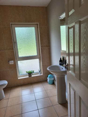 a bathroom with a sink and a toilet and a window at Beech lodge in Wexford