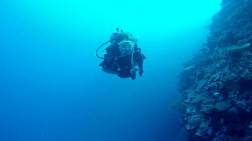 a diver in the ocean looking down at a reef at Oneta Resort in Ono Island