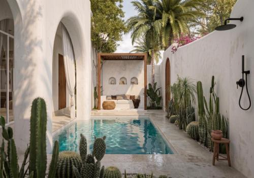 a courtyard with a swimming pool and cactus at Svara Boutique Residences in Uluwatu