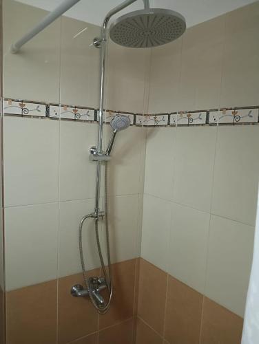 a shower with a shower head in a bathroom at Yellowstone in Kefalos