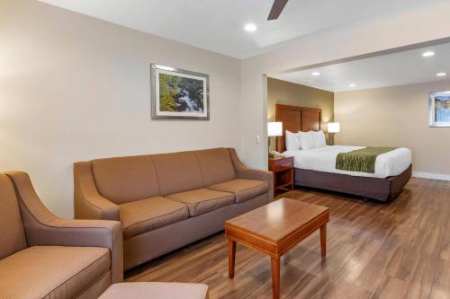 a hotel room with a couch and a bed at Comfort Inn Bishop in Bishop