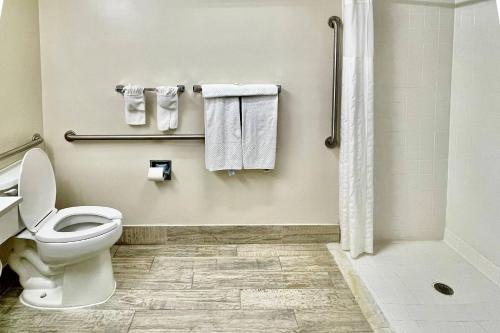 a bathroom with a toilet and a shower and towels at Quality Inn & Suites Clemmons I-40 in Clemmons