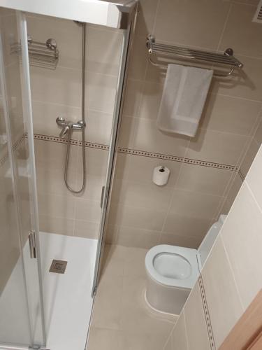 a small bathroom with a toilet and a shower at Apartamento Giovanni - Marina D'Or in El Borseral