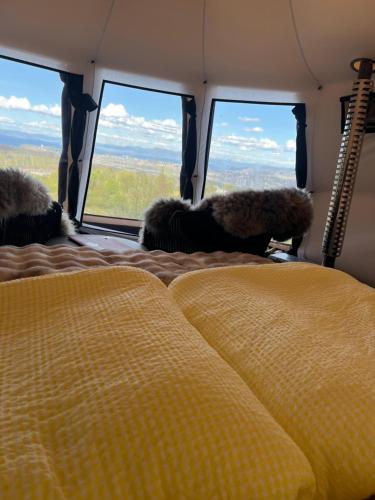 a camper van with two beds and two windows at Torshaug glamping in Trondheim