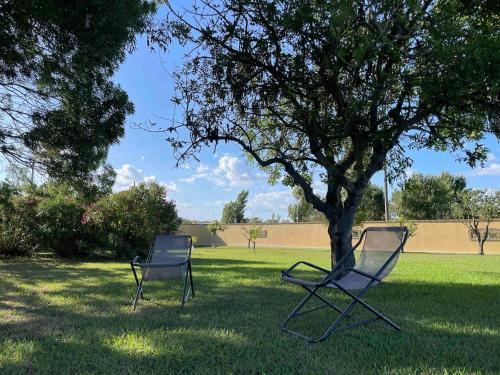 two chairs sitting in the grass under a tree at Casale Country Chic- Sabaudia in Borgo Isonzo