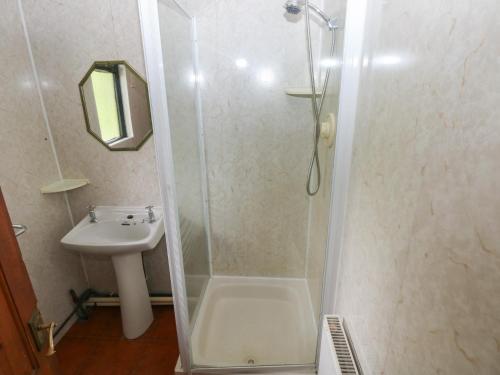 a bathroom with a shower and a sink at Cabin No 11 - Salt and Fern Cabins in Port Talbot