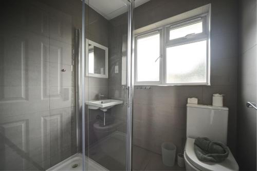 a bathroom with a shower and a toilet and a sink at The Chislehurst Hideaway in Chislehurst