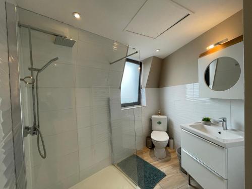 a bathroom with a shower and a toilet and a sink at Le centre in Montluçon
