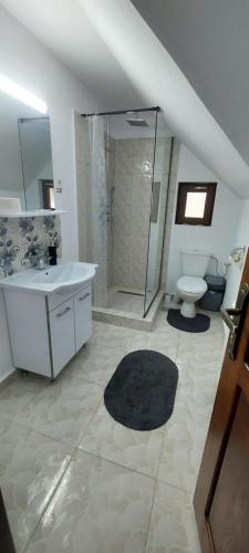 a bathroom with a shower and a sink and a toilet at Casa Elena in Ceahlău