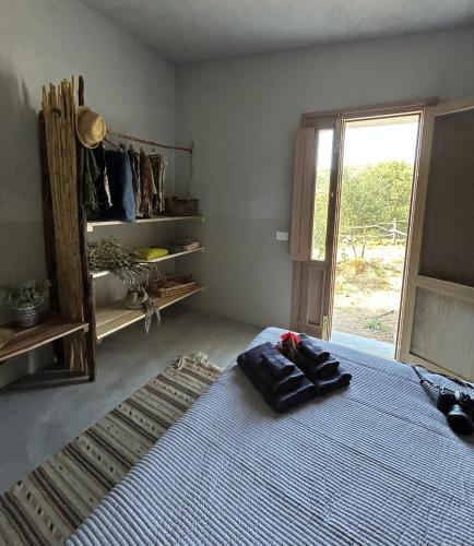 a bedroom with a bed with a blue blanket and a window at Stazzu Pittorra per 4 persone in Barrabisa