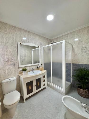 a bathroom with a toilet and a sink and a shower at Casa en el centro de Nerja- Calle Nueva 21 in Nerja