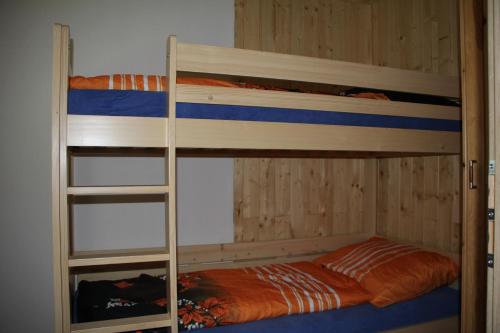 a bunk bed with a ladder in a room at S4 Resort Kouty in Loučná nad Desnou