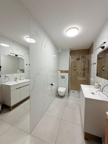 a white bathroom with a shower and a toilet at Luxury Apartments Musialika 18 in Bytom