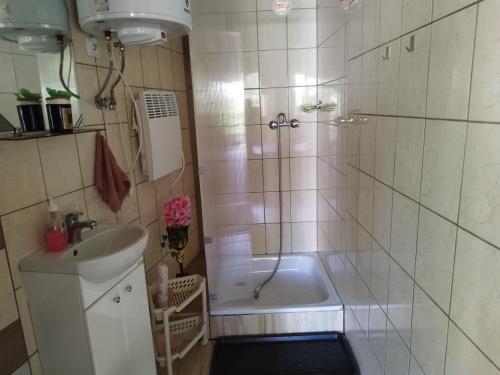 a bathroom with a shower and a sink and a tub at Betlejem Nad Jeziorem in Gostyczyn