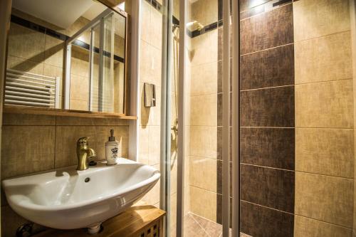 プラハにあるColonial Ruterra 2BDR Apartmentのバスルーム(シンク、シャワー付)