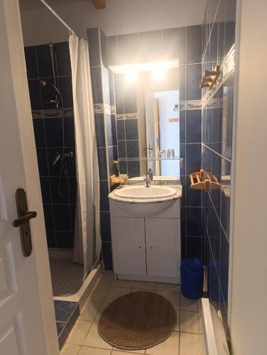 a bathroom with a sink and a shower at Les Murmures de la Forêt Bed and Breakfast in Lanas