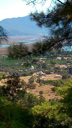 a view of a field with trees and houses at Mavi Ev in Köyceğiz