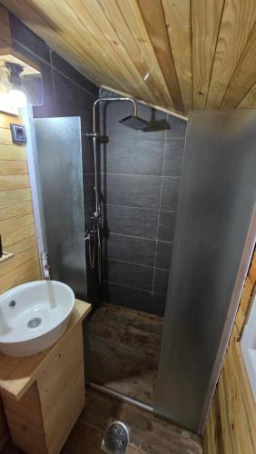 a bathroom with a shower with a sink and a sink at Star Cottage in Bajina Bašta