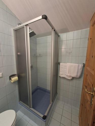 a shower with a glass door in a bathroom at Kleines Apartment in Pertitschach