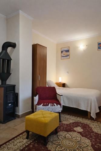 a bedroom with a bed and a chair and a fireplace at Apartmani Petrović - 3 cozy family apartments in Kaludjerske Bare
