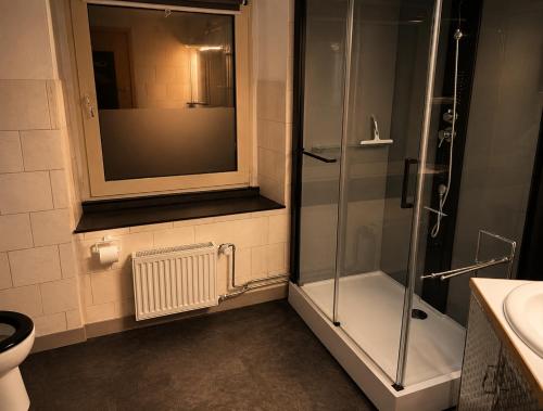 a bathroom with a shower and a toilet and a sink at Kamer midden in de Ardennen in Amblève