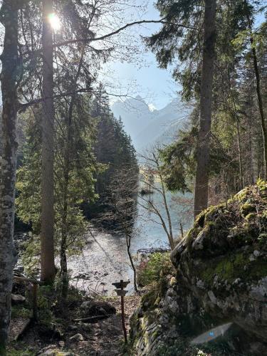 a view of a river in a forest with trees at Sternberg Landhof in Sternberg