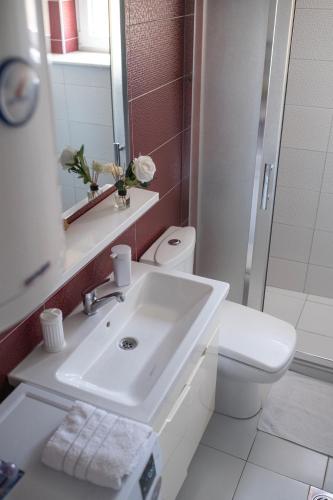 a bathroom with a sink and a toilet and a mirror at Rron's House in Prizren